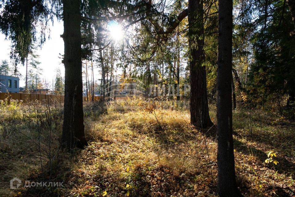 земля городской округ Красногорск СК Липка фото 9