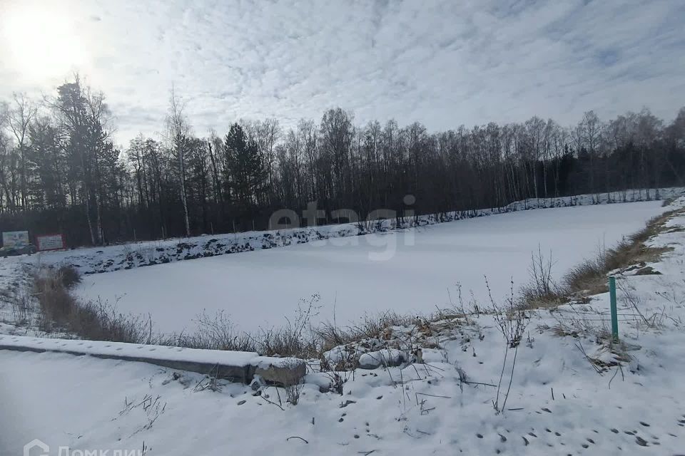 земля Коломна городской округ, СНТ Озерки фото 5