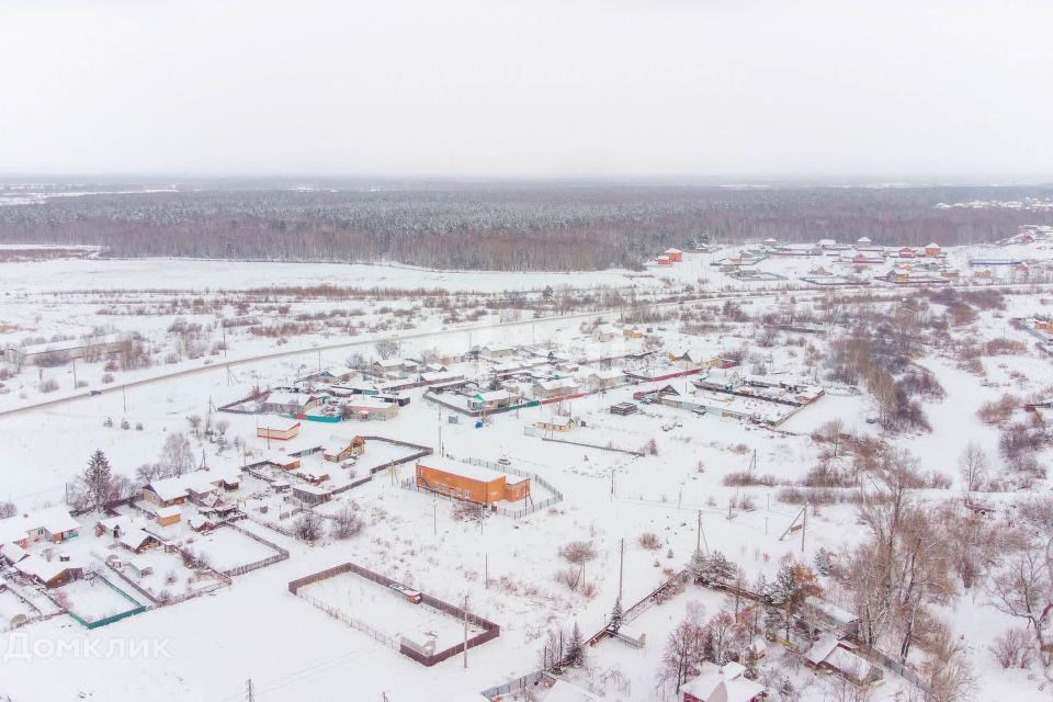 земля городской округ Домодедово д. Тургенево фото 5