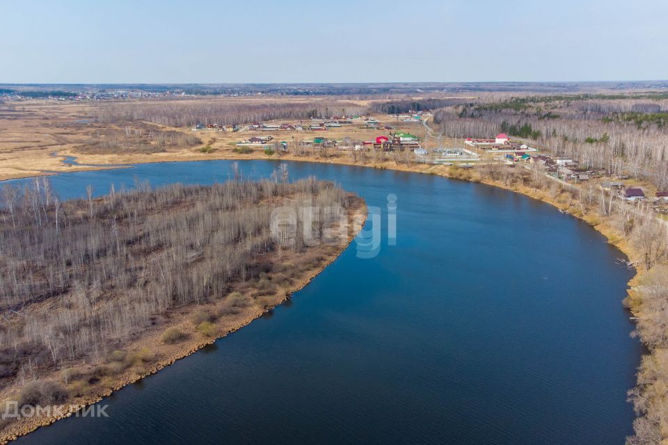 земля городской округ Домодедово д. Тургенево фото 6