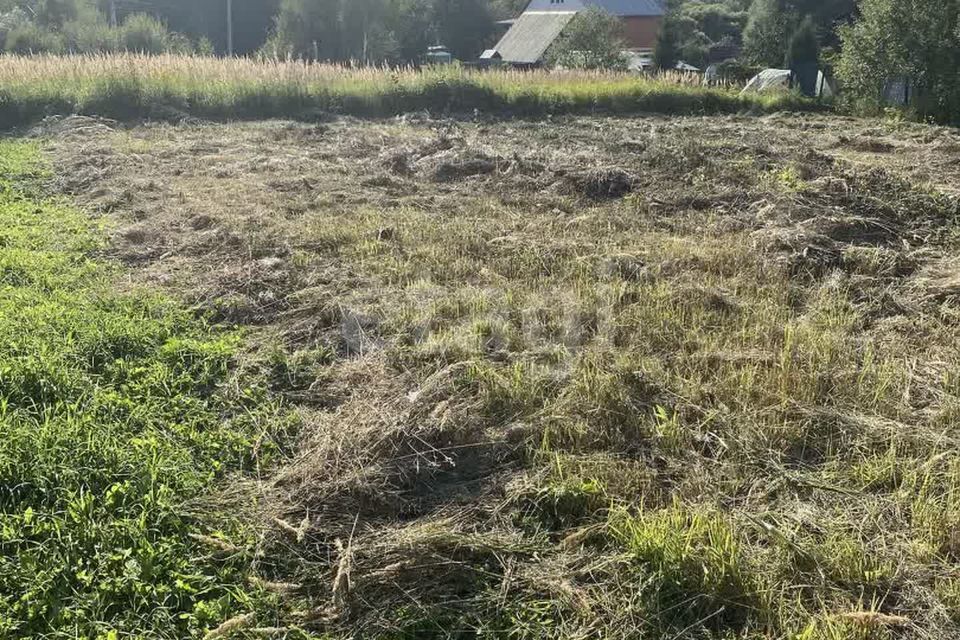 земля городской округ Чехов д. Солодовка фото 9