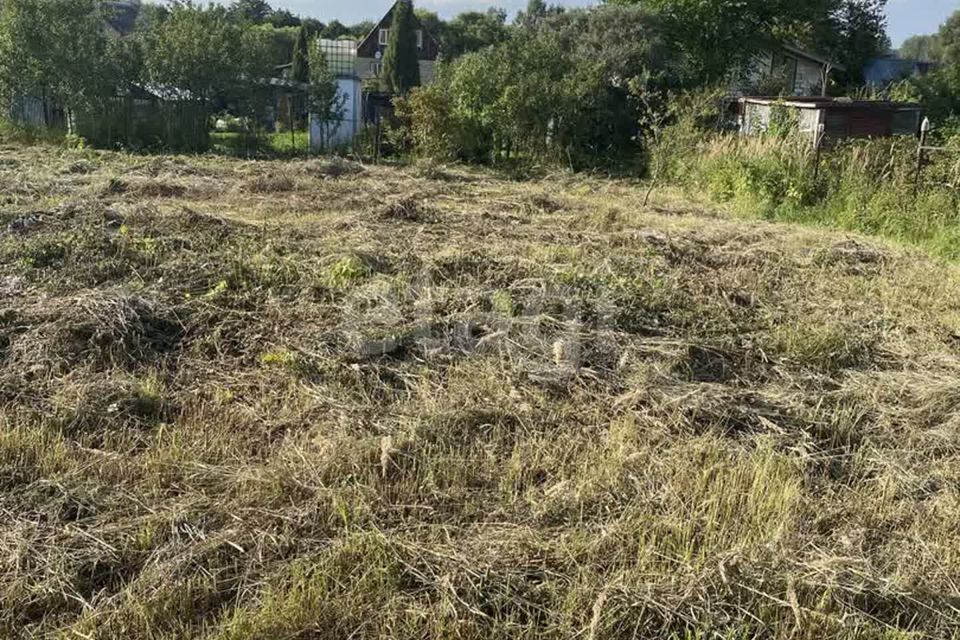 земля городской округ Чехов д. Солодовка фото 10