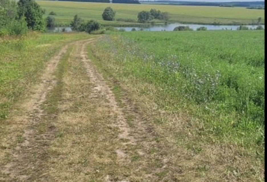 земля городской округ Серебряные Пруды д. Есипово фото 6