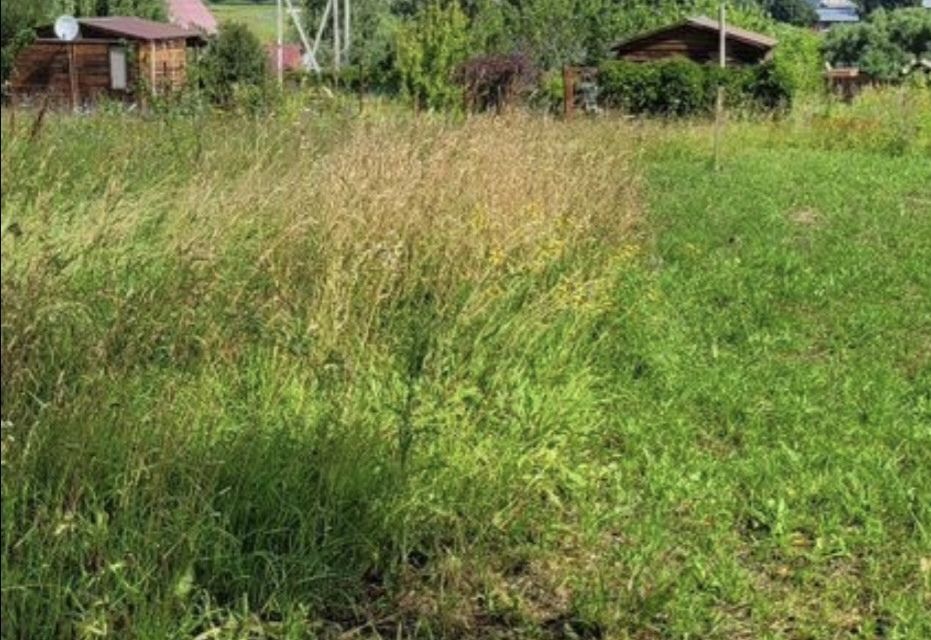 земля городской округ Серебряные Пруды д. Есипово фото 7