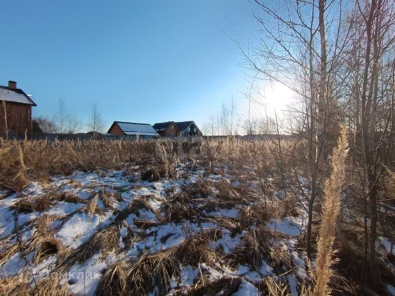 земля городской округ Воскресенск д. Цибино фото 8