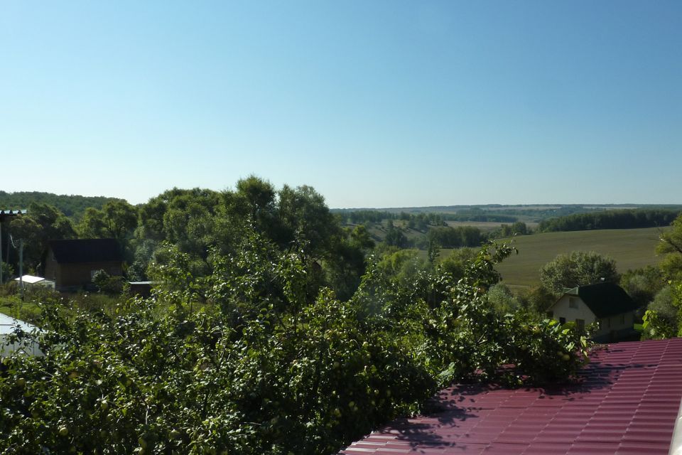 дом городской округ Зарайск д. Большие Белыничи фото 8