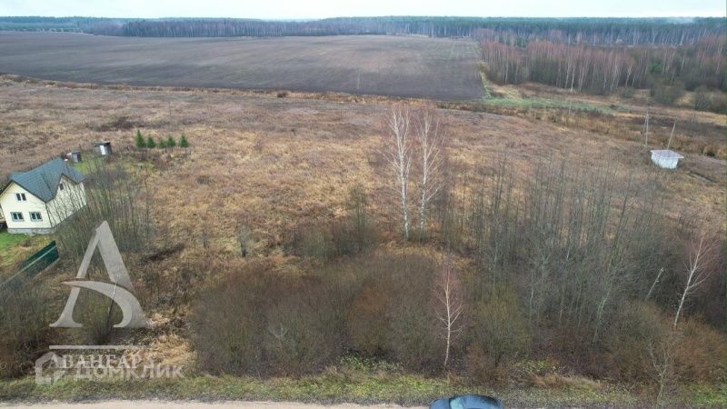 земля городской округ Клин д. Копылово фото 7