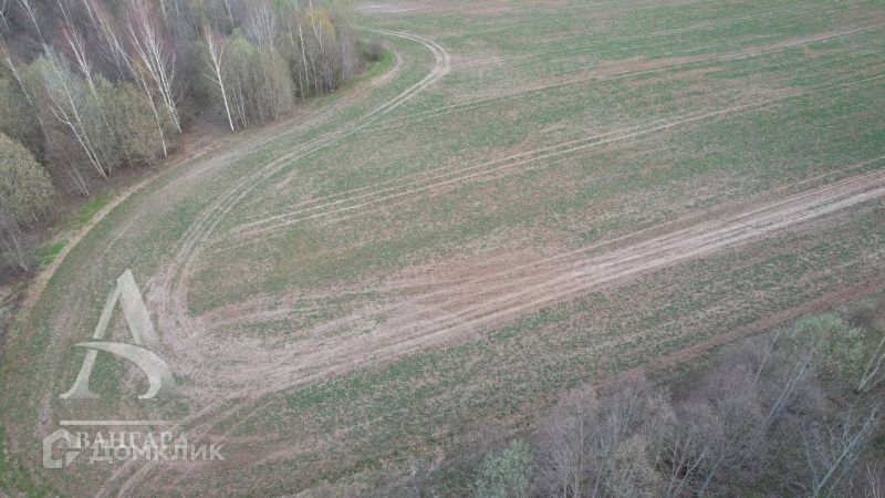 земля городской округ Клин д. Лукино фото 5