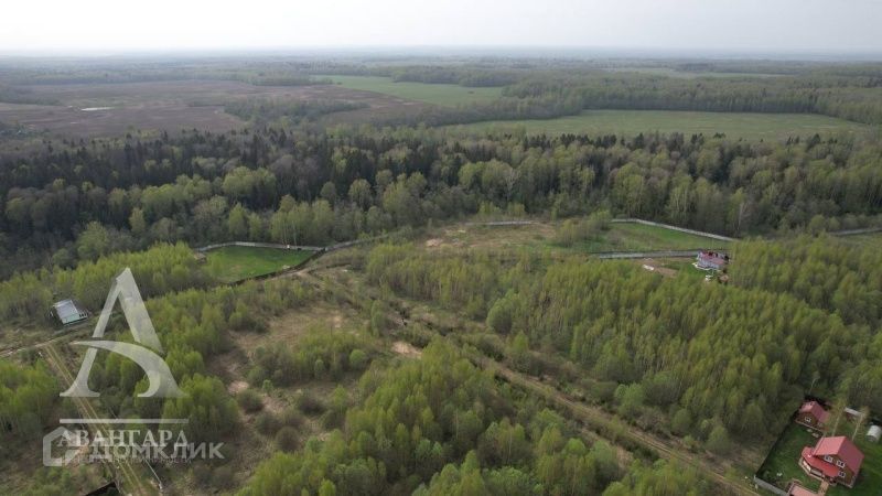 земля городской округ Клин ДНП Лесное фото 8