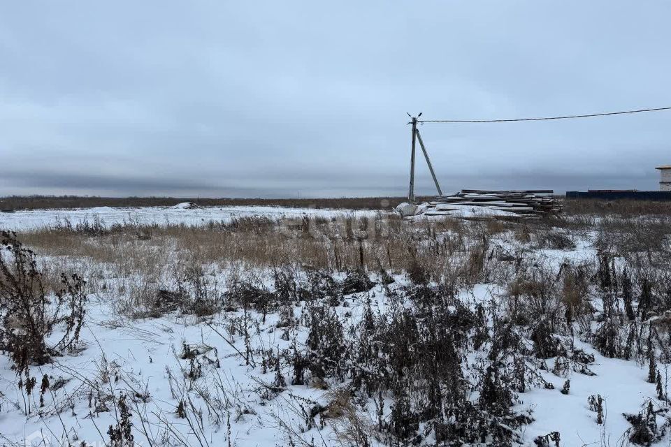 земля г Домодедово Ильинская Слобода, Домодедово городской округ фото 5