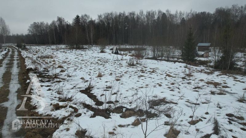 земля городской округ Клин д. Щекино фото 8