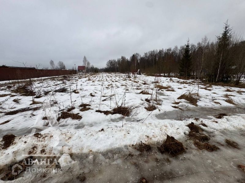 земля городской округ Клин д. Щекино фото 10