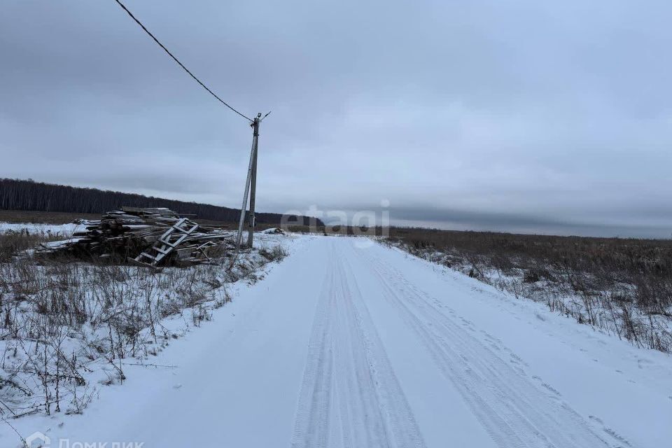 земля г Домодедово Ильинская Слобода, Домодедово городской округ фото 9