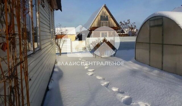 Заельцовская снт Северный Садовод фото