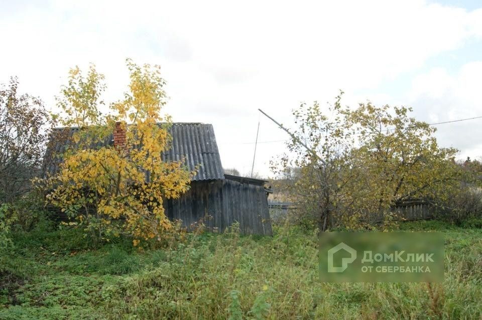 дом р-н Западнодвинский деревня Петрово-1 фото 4