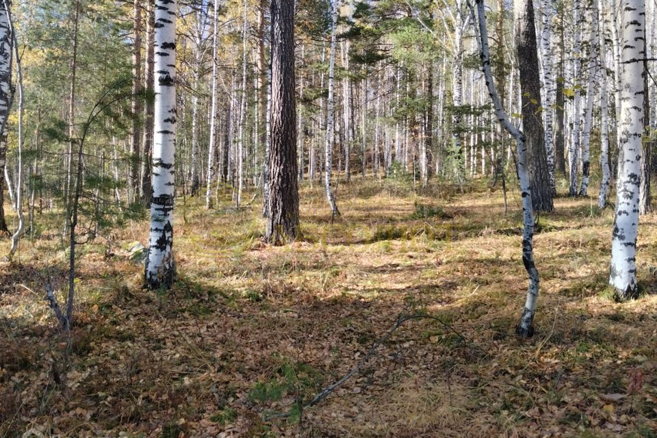 земля г Дегтярск ул Жуковского городской округ Дегтярск фото 2