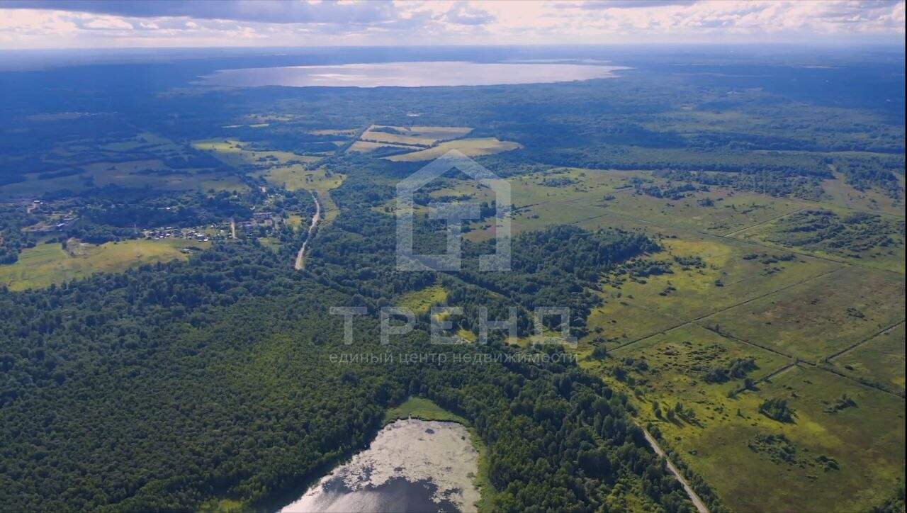 земля р-н Лужский д Залустежье ул Сиреневая фото 5