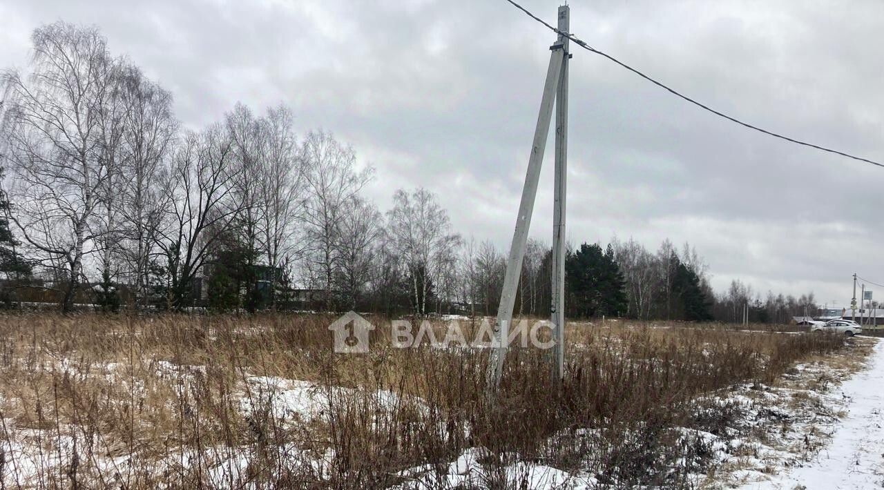 земля городской округ Раменский д Пласкинино ул Центральная Ипподром фото 3