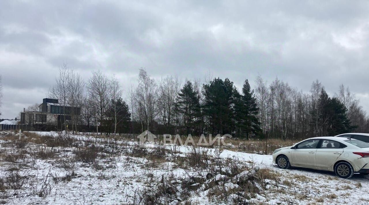 земля городской округ Раменский Лисицыны Лужки кп, Ипподром, ул. Строителей фото 3