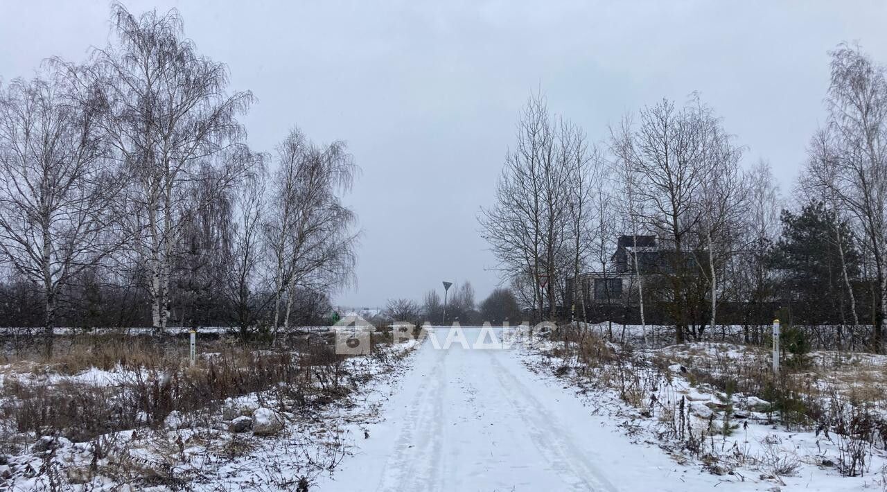 земля городской округ Раменский д Пласкинино ул Центральная Ипподром фото 4