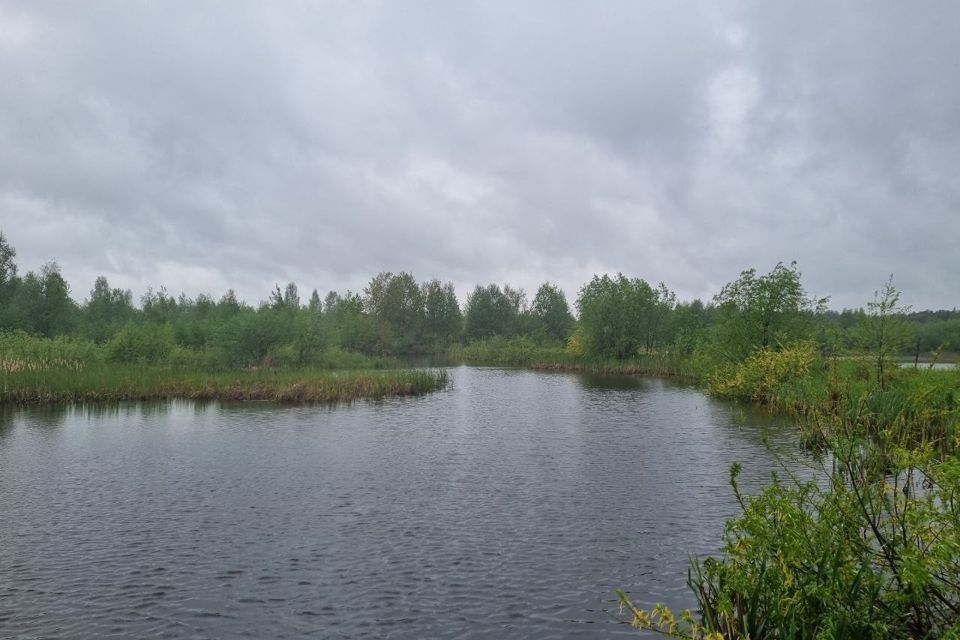 земля р-н Карачевский Карачевское городское поселение фото 7