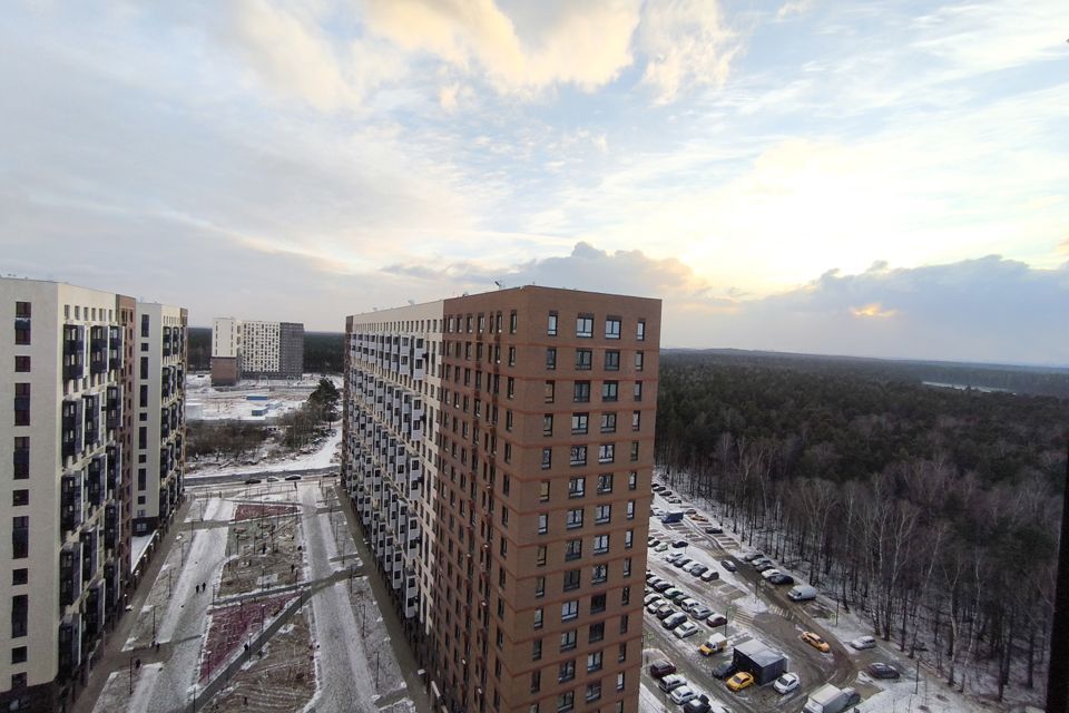 квартира городской округ Люберцы п Мирный улица Академика Северина, 10 фото 3