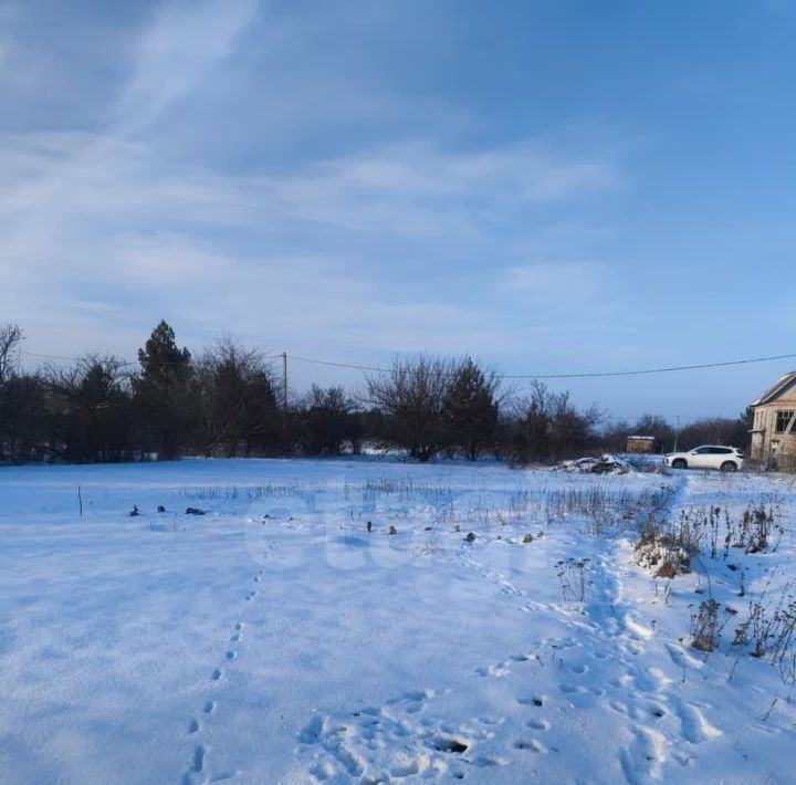 земля р-н Калачеевский снт Природа Борисоглебский городской округ фото 5