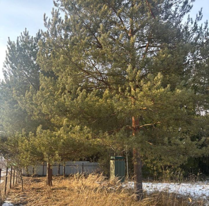 дом городской округ Талдомский снт тер.Междуречье Дмитровский муниципальный округ фото 10