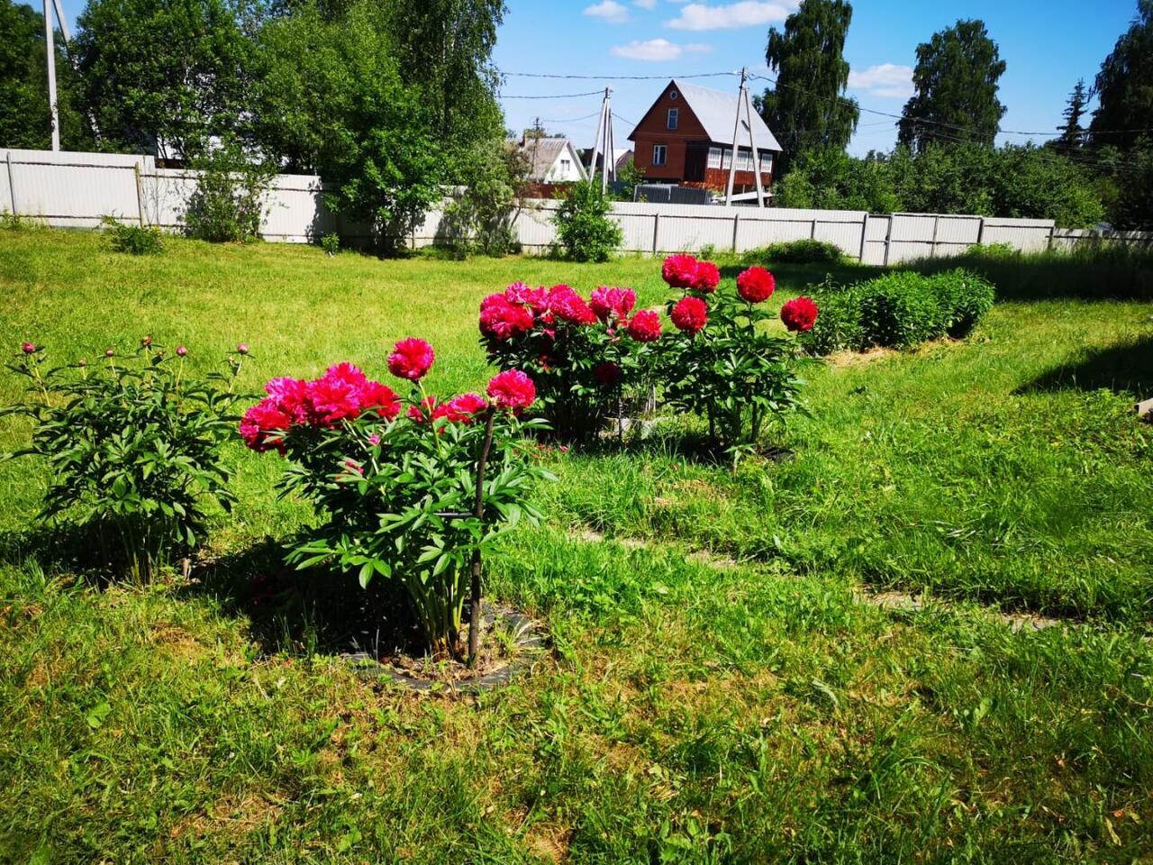 дом городской округ Солнечногорск д Барское-Мелечкино 45 фото 7