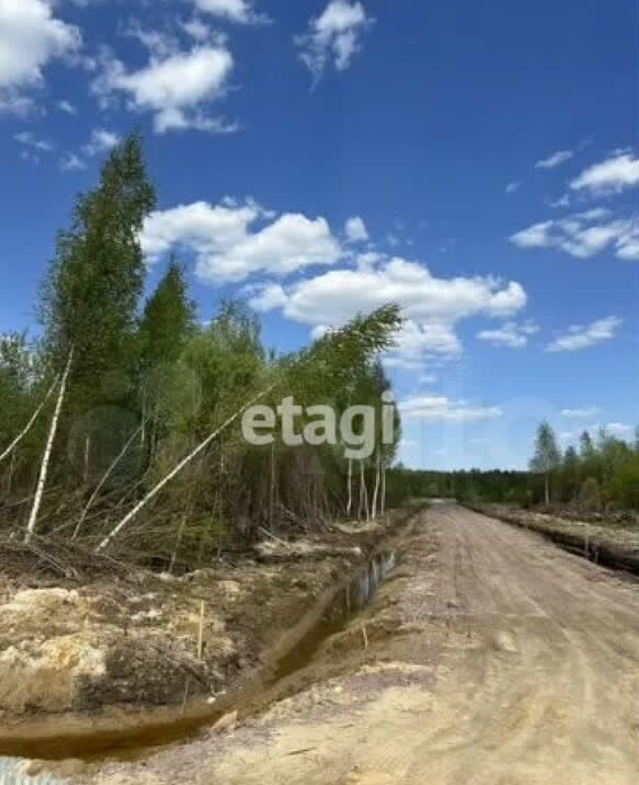 земля р-н Всеволожский г Всеволожск пер Комсомольский Дорога жизни, 10 км, Всеволожское городское поселение фото 6