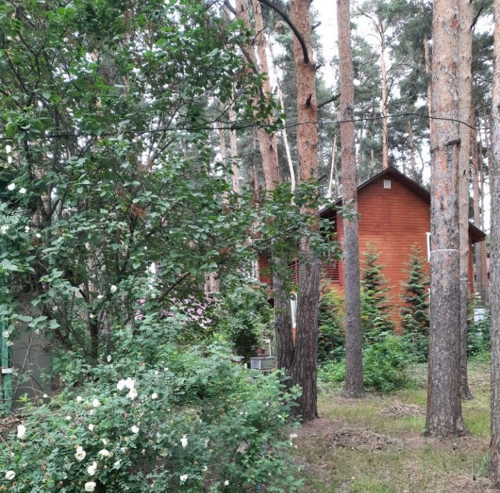 земля городской округ Люберцы рп Малаховка пер Заречный 3а Косино фото 3