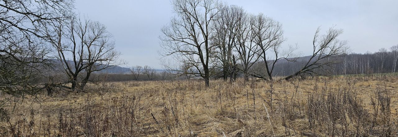 офис городской округ Луховицы с Городна фото 2