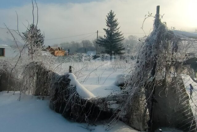 снт тер.Опытник фото