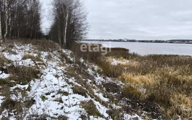 д Новые Ченцы сельское поселение Некрасовское фото