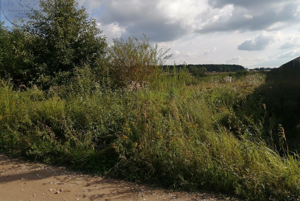 земля городской округ Раменский д Литвиново Раменское фото 1