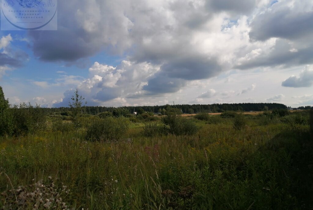 земля городской округ Раменский д Литвиново Раменское фото 3