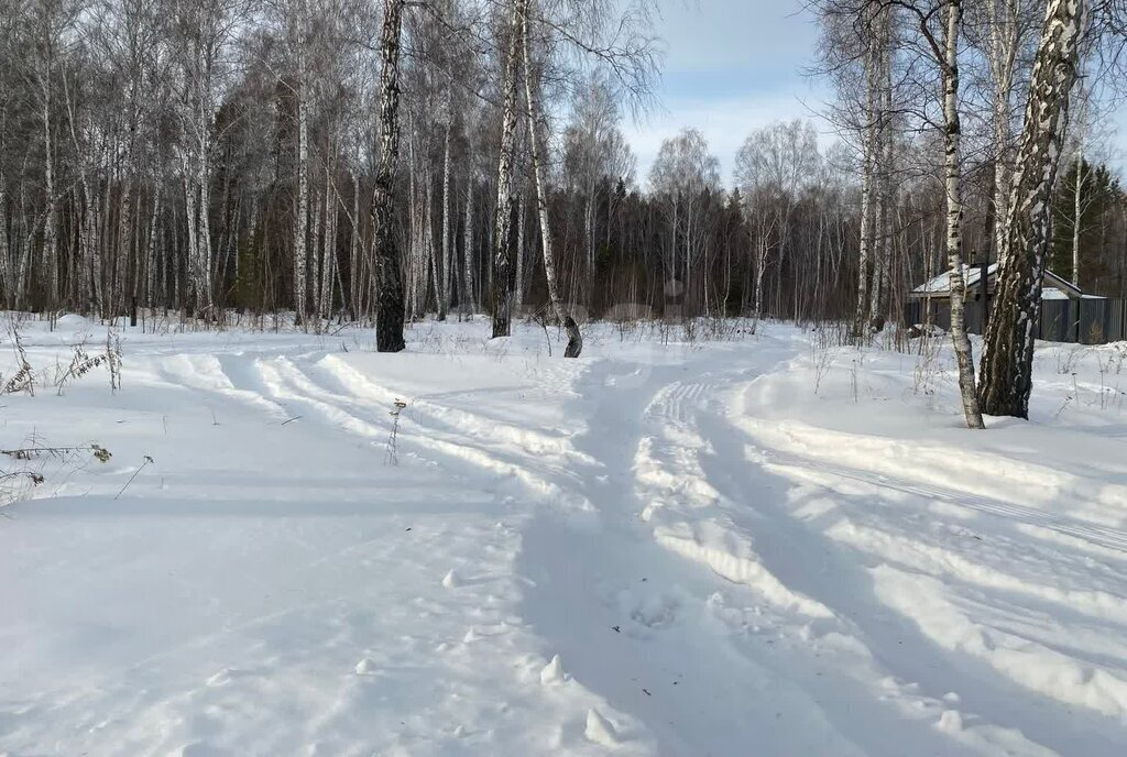 земля р-н Кетовский д Лукино фото 1