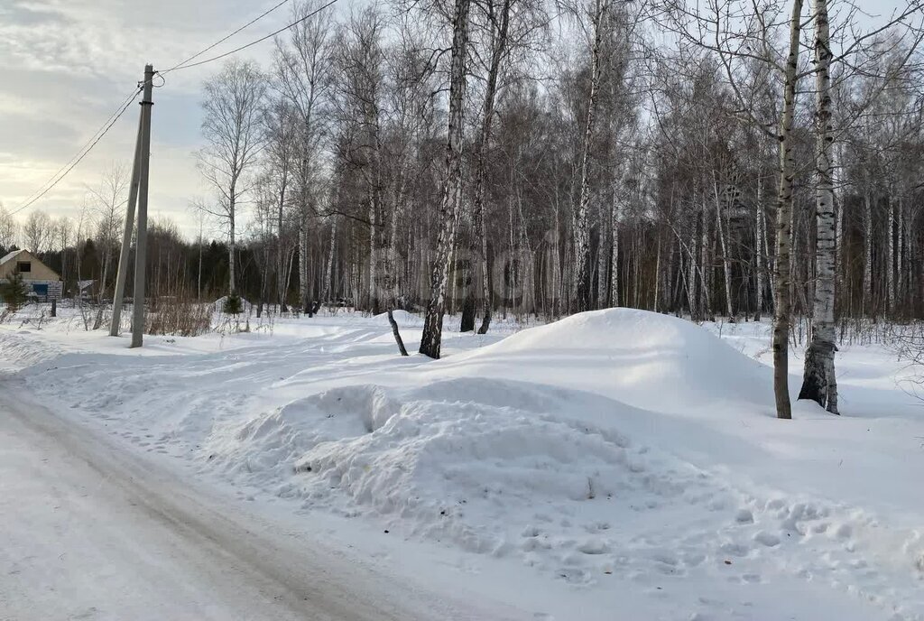 земля р-н Кетовский д Лукино фото 2