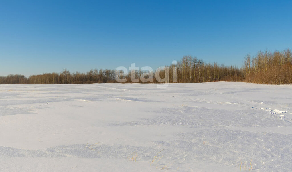 земля г Тюмень р-н Ленинский фото 5