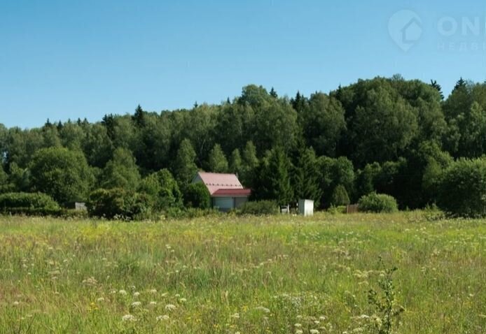 земля городской округ Наро-Фоминский г Верея 97 км, 42, садоводческое некоммерческое товарищество Прогресс-Терра, Минское шоссе фото 7