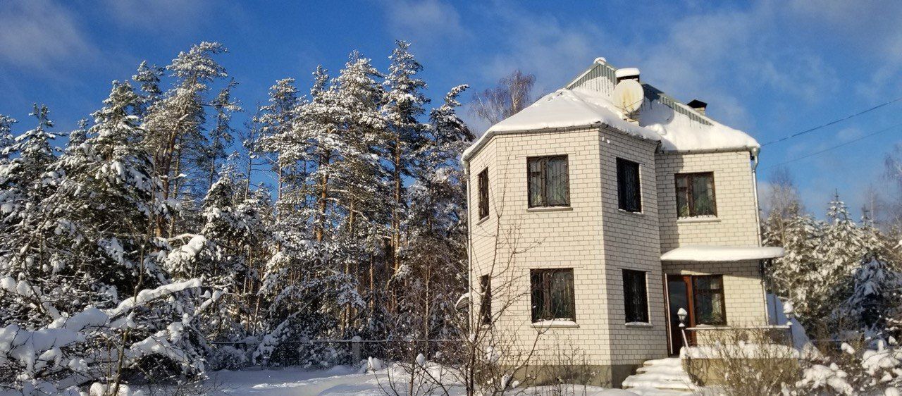 дом городской округ Воскресенск д Ёлкино 73 км, г. о. Воскресенск, Хорлово, Новорязанское шоссе фото 1