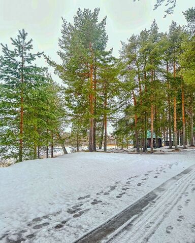 г Вытегра сельское поселение Андомское фото