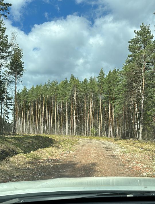 земля городской округ Раменский Гжельский лес кп фото 1