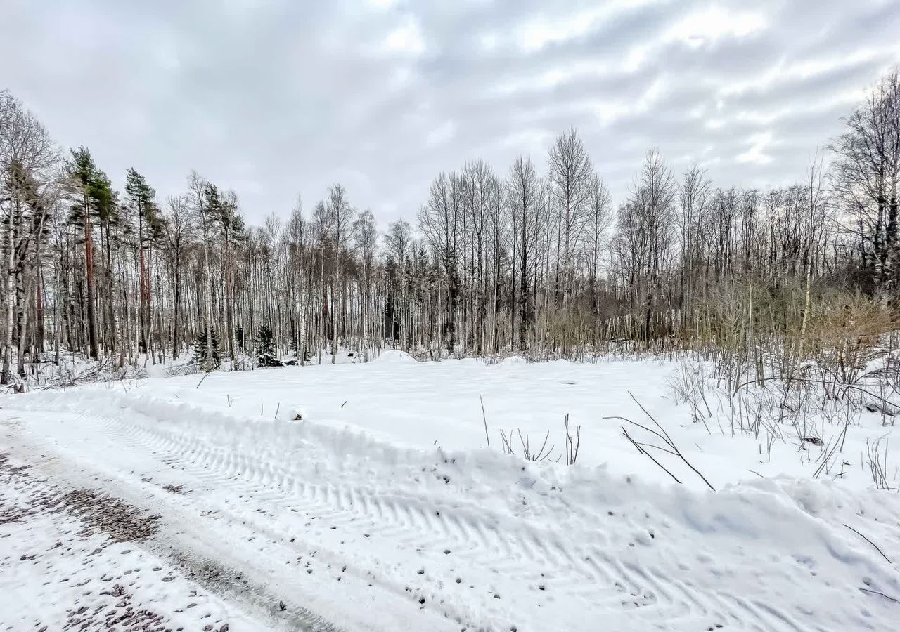 земля р-н Всеволожский 22 км, Всеволожский р-н, Токсовское городское поселение, СНТ Воякоярви, 8-я линия, Лесколово, Ленинградское шоссе фото 7