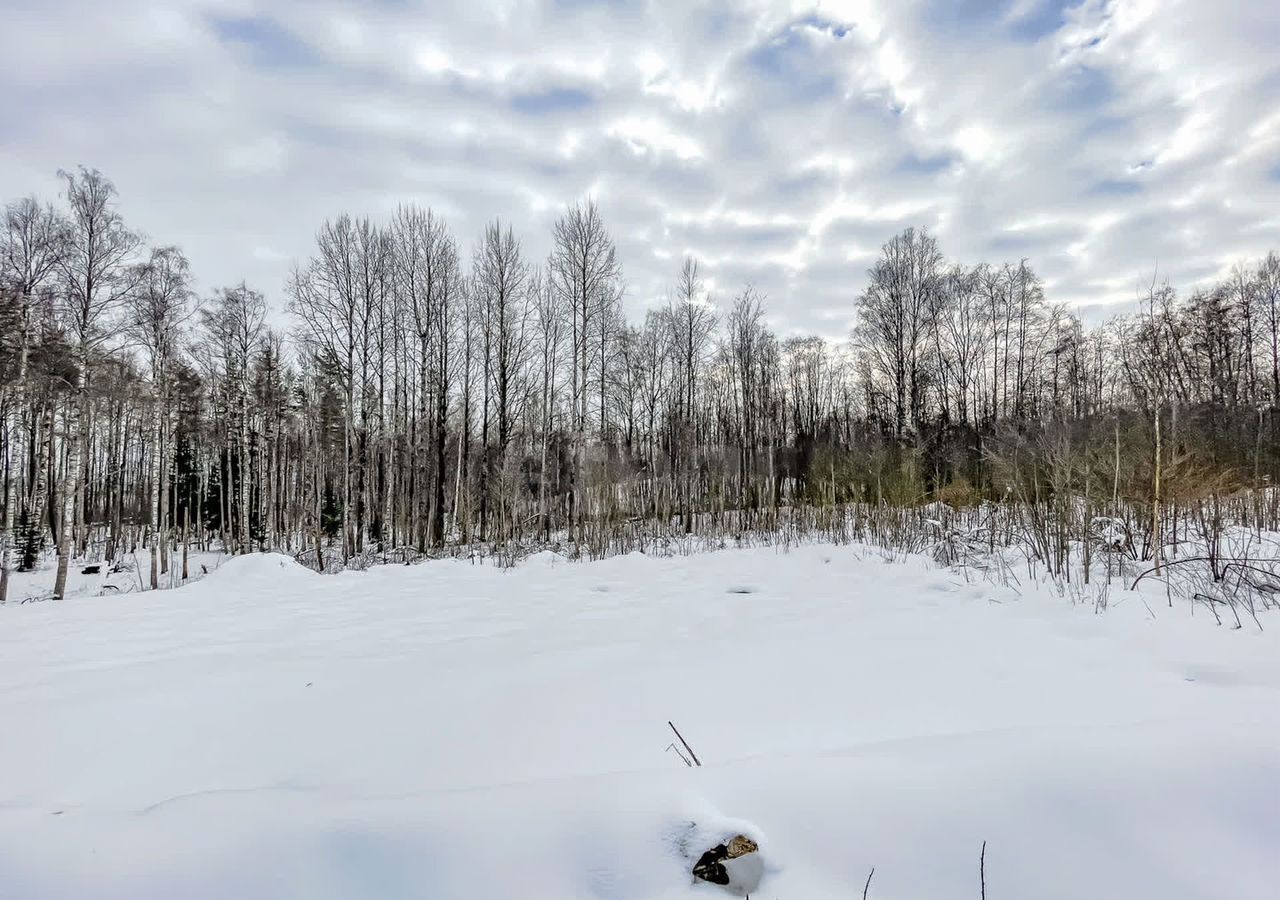 земля р-н Всеволожский 22 км, Всеволожский р-н, Токсовское городское поселение, СНТ Воякоярви, 8-я линия, Лесколово, Ленинградское шоссе фото 10