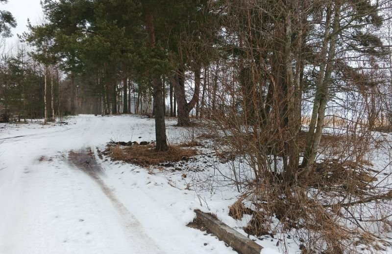 земля р-н Выборгский п Балтийское ул Черёмуховая Приморское городское поселение фото 4