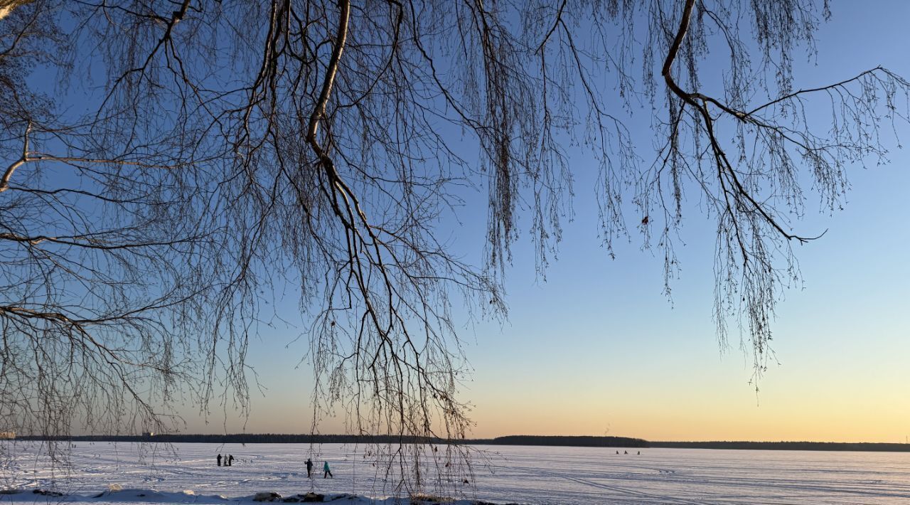 земля городской округ Пушкинский Лиса кп фото 1