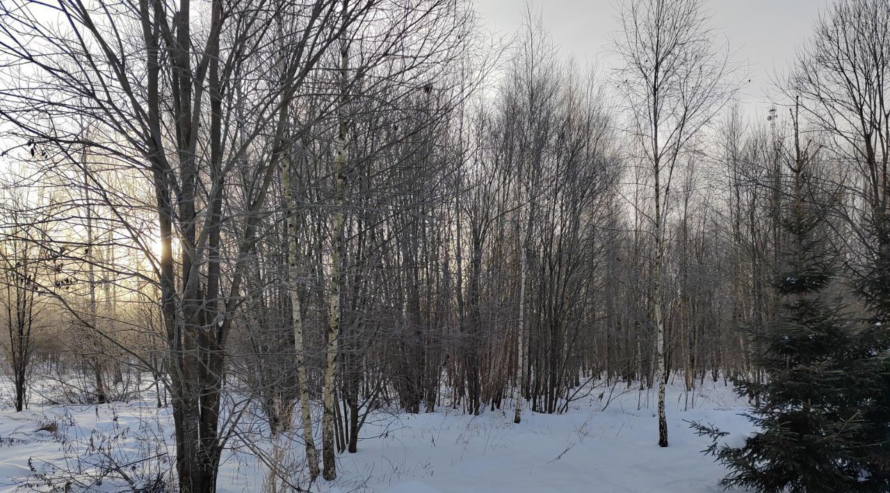 офис городской округ Чехов д Алачково фото 1