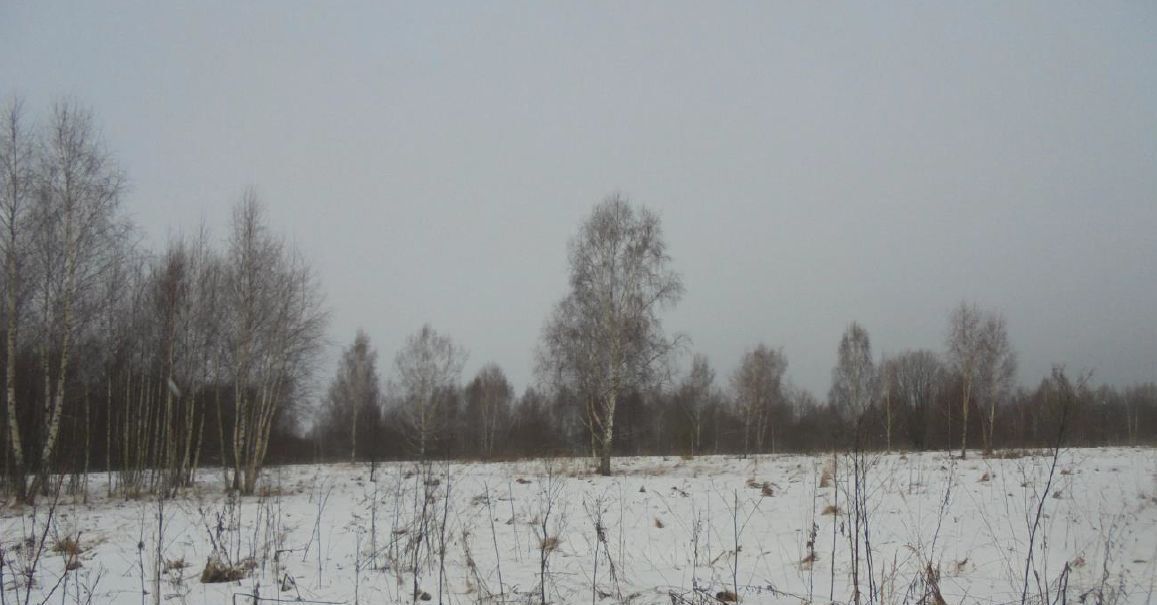 земля городской округ Дмитровский д Богданово фото 1