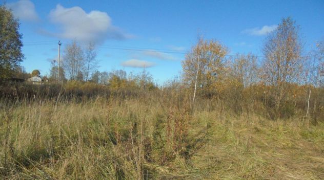 земля городской округ Дмитровский д Бешенково фото 1